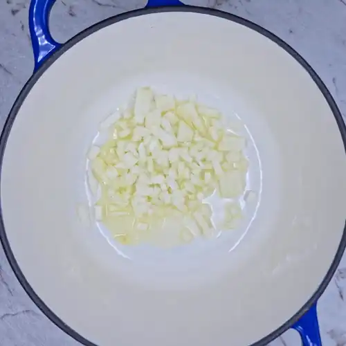 Chopped Onion in Oil